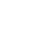 ANSI